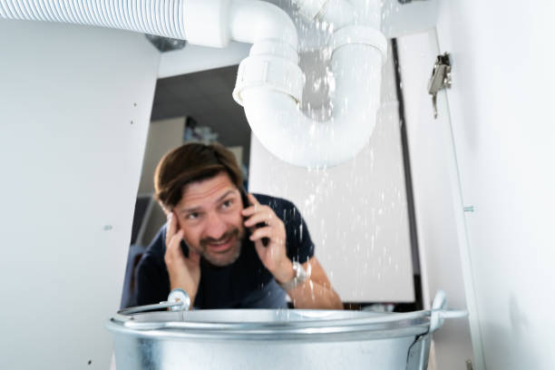 Best Plumbing Inspection Services  in Ly Lake, IL