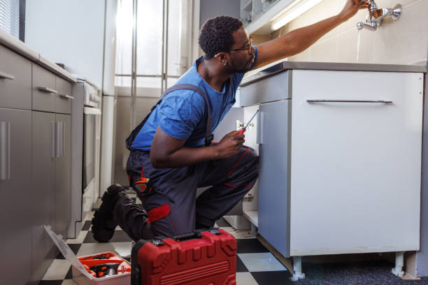 Best Commercial Plumbing Services  in Ly Lake, IL