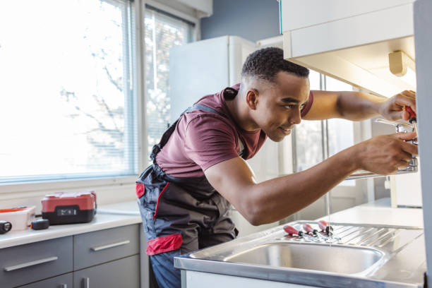 Best Emergency Plumbing Repair  in Ly Lake, IL